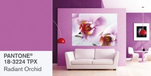 Orquidea-Radiante-Pantone20142  los colores del 2014 Orquidea Radiante Pantone20142